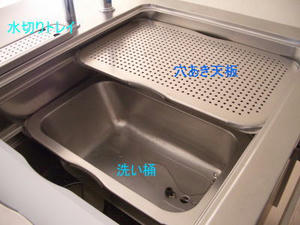 2008-3-31h.jpg