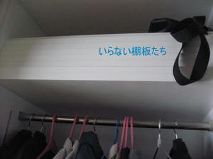 2008-4-5b.jpg