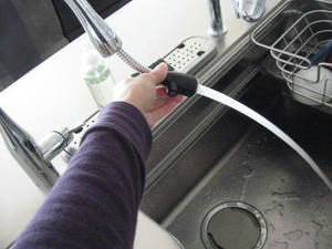 2008-4-6g.jpg