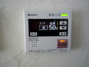 2008-4-9c.jpg
