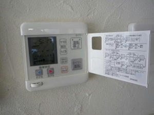 2008-4-9d.jpg