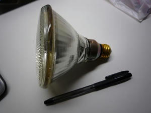 2008-4-13d.jpg