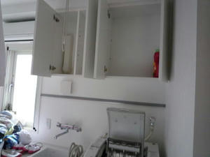 2008-4-11e.jpg