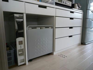2008-4-17c.jpg
