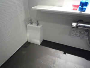 2008-4-17g.jpg
