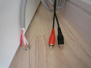 2008-4-24d.jpg