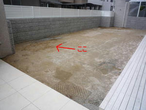 2008-4-26.jpg