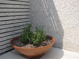 2008-4-29.jpg