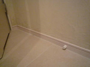2008-5-10c.jpg