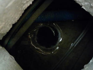 2008-5-14c.jpg