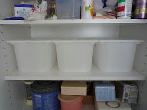 2008-5-22d.jpg