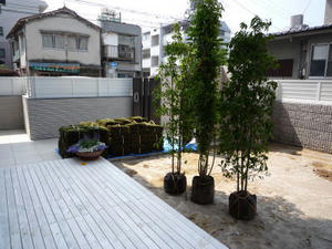 2008-5-26.jpg