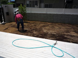 2008-5-26c.jpg