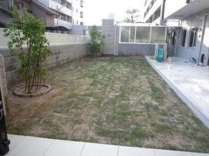 2008-5-26e.jpg