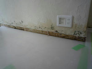 2008-5-27.jpg