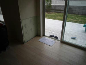 2008-5-29c.jpg