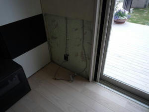 2008-5-29e.jpg