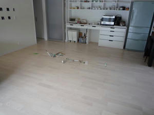2008-6-2d.jpg