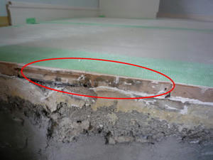 2008-6-16c.jpg