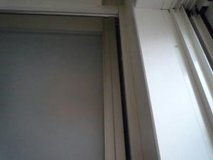 2008-8-4.jpg