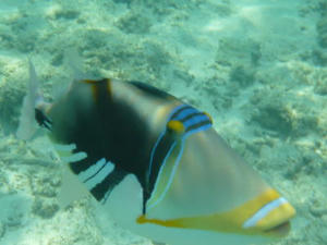 2008-8-16b.jpg