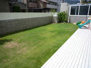 2008-9-5.jpg