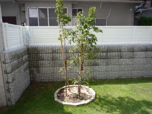 2008-9-13d.jpg