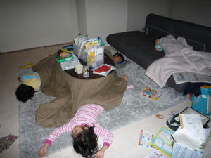 2009-1-31b.jpg