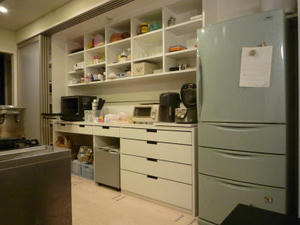 2009-2-4c.jpg