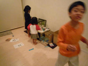 2009-2-5b.jpg