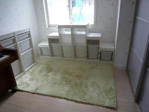 2009-2-11.jpg