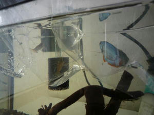 2009-2-11c.jpg