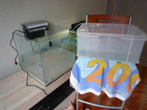 2010-1-18b.jpg