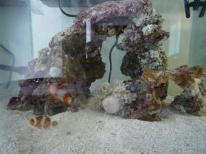 2010-1-23.jpg