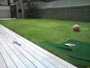 2010-7-26.jpg
