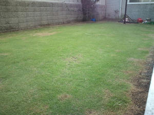 2010-7-26b.jpg