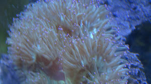 DSC00205.JPG