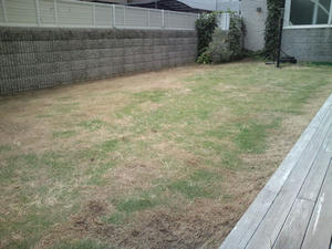 CA3D0120.jpg