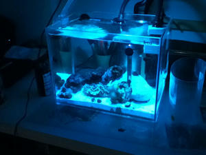 2012-07-31T05-11-03_0.jpg
