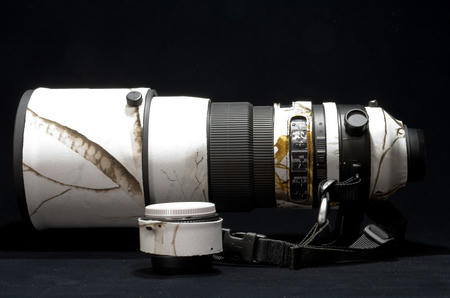 AF-S NIKKOR 300mm f/2.8G ED VR II　＆　TC-17E II