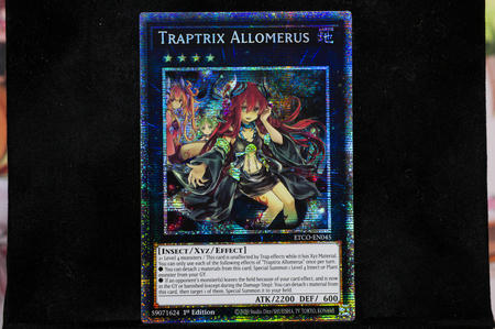 Traptrix Allomerus (ETCO-EN045) 1st Edition Starlight Rare