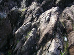 IMGP0624.JPG