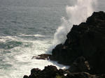 IMGP0646.JPG