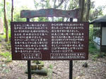 IMGP0600.JPG