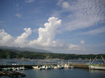IMGP0250.JPG