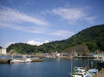 IMGP0252.JPG