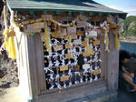 IMGP0395.JPG