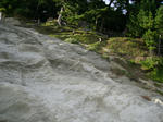 IMGP0474.JPG