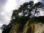 IMGP0484.JPG