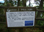 IMGP0503.JPG